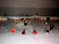 Karneval-2020_0409