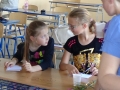Ocenovanie2014-06