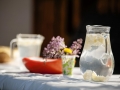 SVS_2015-04